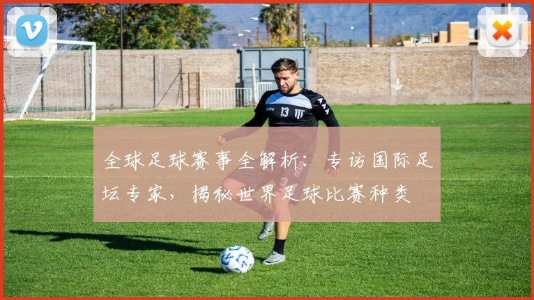 全球足球赛事全解析：专访国际足坛专家，揭秘世界足球比赛种类